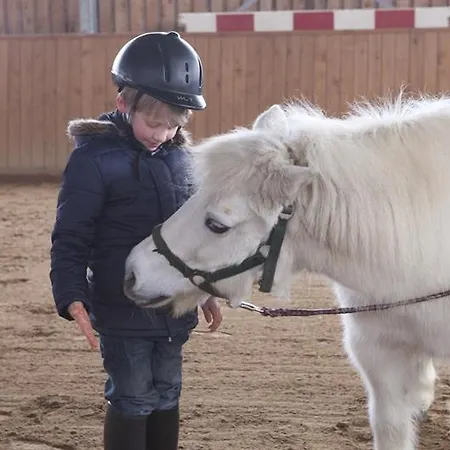 Wellnesshotel Harzer Land - Haus Gotha 3* Thale