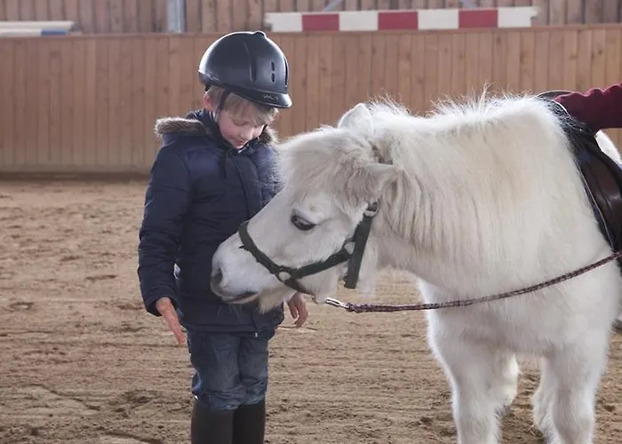 Wellnesshotel Harzer Land - Haus Gotha 3* Thale